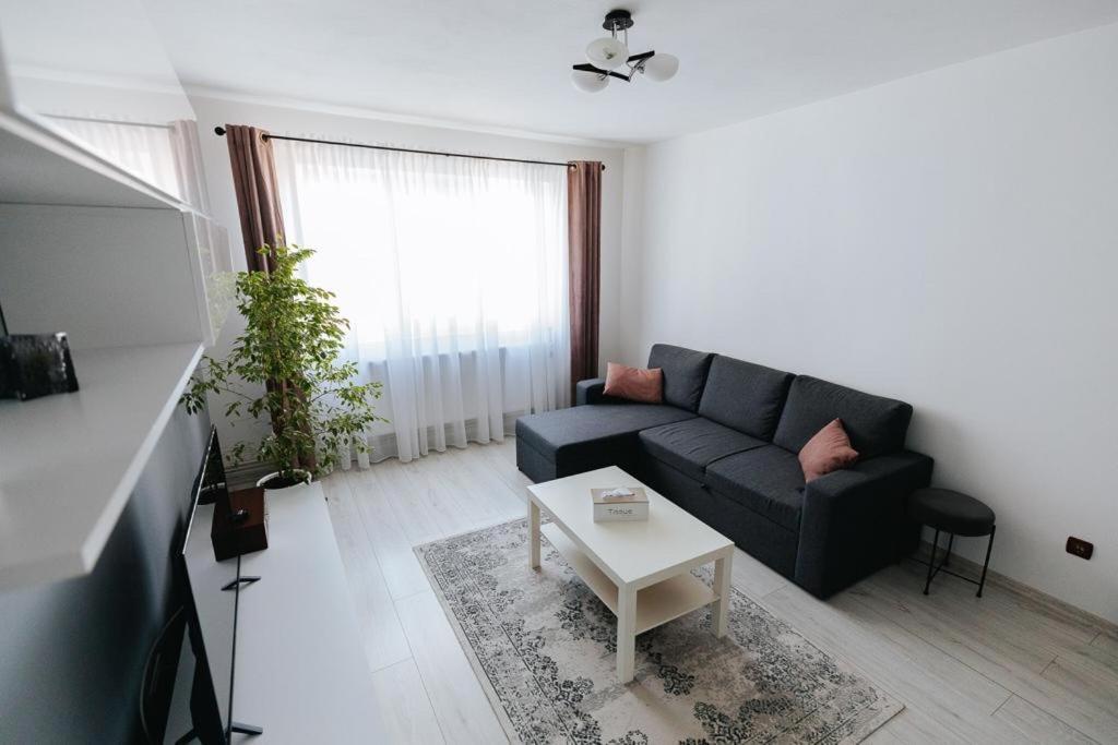شقة Târgu Jiu  في Scandinavian House المظهر الخارجي الصورة